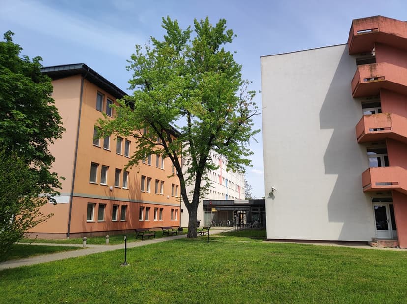 Alma Mater Hostel